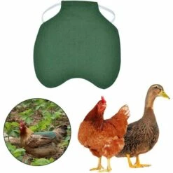 CARILLONSàVENT Tablier De Poulet À Sangle Unique/Gilet De Selle Protection De L'aile De Canard De Poule Vestes De Poulet Standard Tabliers De Poule Accessoires De Soins De Volaille 5pcs-vert Carivent