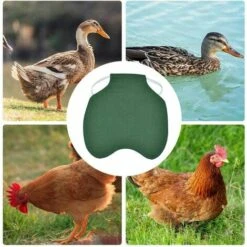 CARILLONSàVENT Tablier De Poulet À Sangle Unique/Gilet De Selle Protection De L'aile De Canard De Poule Vestes De Poulet Standard Tabliers De Poule Accessoires De Soins De Volaille 5pcs-vert Carivent -Polire Soldes Boutique 64139286 3