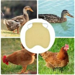 CARILLONSàVENT Tablier De Poulet À Sangle Unique/Gilet De Selle Protection De L'aile De Canard De Poule Vestes De Poulet Standard Tabliers De Poule Accessoires De Soins De Volaille 5pcs-Kaki Carivent -Polire Soldes Boutique 64140614 3