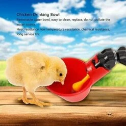 CARILLONSàVENT 5 Pcs En Abreuvoir Poules, Tasses Automatiques Automatique Chicken Acier Inoxydable Eau Côté Horizontal Mamelons Poulet Volaille Lapin Buveur Abreuvoir Nipple (Bol à Eau à Vis Fixe) Carivent -Polire Soldes Boutique 64141695 5