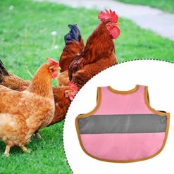 REGALI Selles De Poulet Tabliers De Volaille Avec Bandes élastiques Protecteurs De Poussins (noir) 9 REGALI Selles De Poulet Tabliers De Volaille Avec Bandes élastiques Protecteurs De Poussins (noir) -Polire Soldes Boutique 64143873 5