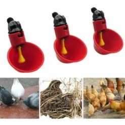 PREMIER Abreuvoir à Poule Automatique Tasses D'eau Potable Rouge Abreuvoir Poules Bien Pratique En Plastique Pour Oiseaux Poule Volaille - 5PCS -Polire Soldes Boutique 64157602 4