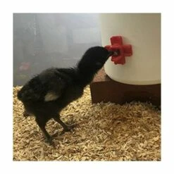 MONLY Tétine à Eau De Volaille, Abreuvoir Automatique Pour Tétine De Poulet Avec Montage Latéral Horizontal, Lot De 12 9 MONLY Tétine à Eau De Volaille, Abreuvoir Automatique Pour Tétine De Poulet Avec Montage Latéral Horizontal, Lot De 12 -Polire Soldes Boutique 64457886 5