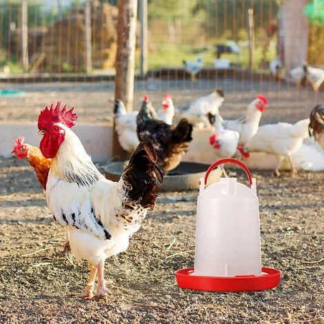 HEGUYEY Poussin Mangeoire Abreuvoir Ensemble Suspendu Volaille Mangeoire En Plastique Volaille Fontaine Volaille Buveur Pour Ferme Poulailler Poulet Distributeur D'eau Mangeoire Ensemble 4 HEGUYEY Poussin Mangeoire Abreuvoir Ensemble Suspendu Volaille Mangeoire En Plastique Volaille Fontaine Volaille Buveur Pour Ferme Poulailler Poulet Distributeur D'eau Mangeoire Ensemble – Image 4