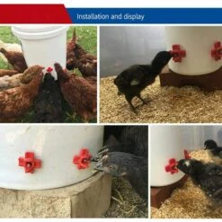 REGALOS Lot De 20 Tétines De Poulet à Montage Latéral Horizontal Pour Volaille, Tétine D'abreuvoir à L'extérieur Pour Poulet, Canard, Caille Et Autres Volailles (20) -Polire Soldes Boutique 64546173 4