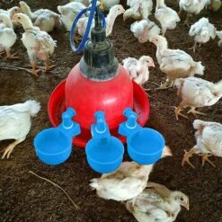REGALOS Tasses à Eau Pour Poulet, Arrosoir Pour Poulet, Abreuvoir Pour Poulet, Abreuvoir à Remplissage Automatique Pour Volaille, Bol à Boire Pour Volaille, Tasse Pour Poulet, Canard, Dinde, Lapin (bleu, 6 Pièces) -Polire Soldes Boutique 64546398 5