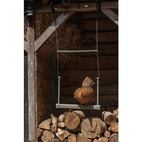 CHEMIN DES POULAILLERS Balançoire À Poules En Plastique Recyclé 40 Cm - Beeztees 1 CHEMIN DES POULAILLERS Balançoire À Poules En Plastique Recyclé 40 Cm - Beeztees
