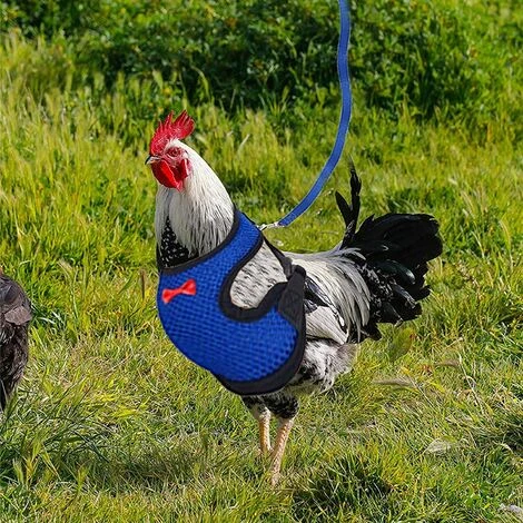 EAUDACè Harnais Souple RéGlable Harnais De Poule 2 PièCes D'éLingue De Poulet Nouvelle Laisse Pour Animaux De Compagnie, RéGlable, Confortable, Respirante, Petite Laisse De Canard Avec Laisse Pour Animaux(M) 4 EAUDACè Harnais Souple RéGlable Harnais De Poule 2 PièCes D'éLingue De Poulet Nouvelle Laisse Pour Animaux De Compagnie, RéGlable, Confortable, Respirante, Petite Laisse De Canard Avec Laisse Pour Animaux(M) – Image 4