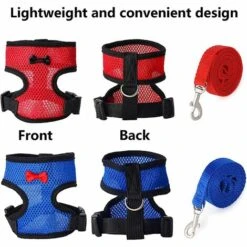 EAUDACè Harnais Souple RéGlable Harnais De Poule 2 PièCes D'éLingue De Poulet Nouvelle Laisse Pour Animaux De Compagnie, RéGlable, Confortable, Respirante, Petite Laisse De Canard Avec Laisse Pour Animaux(M) 9 EAUDACè Harnais Souple RéGlable Harnais De Poule 2 PièCes D'éLingue De Poulet Nouvelle Laisse Pour Animaux De Compagnie, RéGlable, Confortable, Respirante, Petite Laisse De Canard Avec Laisse Pour Animaux(M) -Polire Soldes Boutique 64737783 5