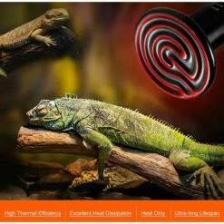 DENUOTOP E27 75W Émetteur Radiateur Animaux Ampoule Infrarouge Chauffage En Céramique,Lampe De Reptile Pour Amphibiens, Serpent, Oiseaux,Tortue, Chat, Chien 9 DENUOTOP E27 75W Émetteur Radiateur Animaux Ampoule Infrarouge Chauffage En Céramique,Lampe De Reptile Pour Amphibiens, Serpent, Oiseaux,Tortue, Chat, Chien -Polire Soldes Boutique 64884467 5