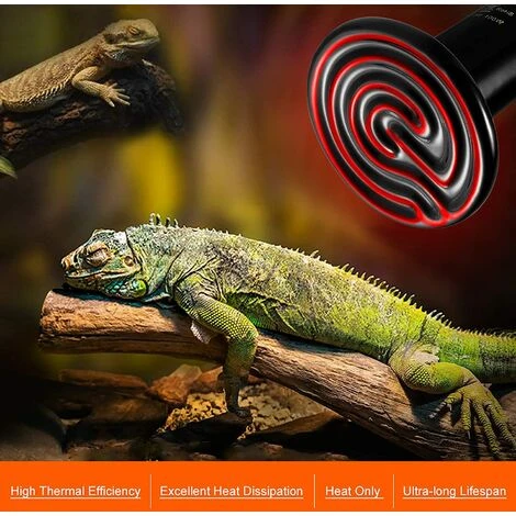 DENUOTOP E27 75W Émetteur Radiateur Animaux Ampoule Infrarouge Chauffage En Céramique,Lampe De Reptile Pour Amphibiens, Serpent, Oiseaux,Tortue, Chat, Chien 5 DENUOTOP E27 75W Émetteur Radiateur Animaux Ampoule Infrarouge Chauffage En Céramique,Lampe De Reptile Pour Amphibiens, Serpent, Oiseaux,Tortue, Chat, Chien – Image 5