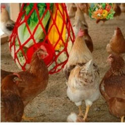 SLBRILLèRE Lot De 2 Sacs à Cordes Pour Poulet Et Légumes - Support Pour Fruits De Volaille - Mangeoire à Chou - Outil D'alimentation - Xylophone - Jouet Pour Poules Et Poules -Polire Soldes Boutique 65032334 5