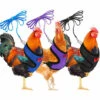 FR-LIFE Harnais Souple RéGlable Harnais De Poule 3 PièCes D'éLingue De Poulet Nouvelle Laisse Pour Animaux De Compagnie, RéGlable, Confortable, Respirante, Petite Laisse De Canard Avec Laisse Pour Animaux—BR-Vie