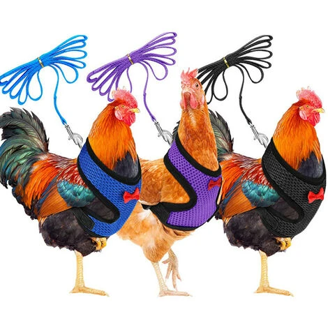FR-LIFE Harnais Souple RéGlable Harnais De Poule 3 PièCes D'éLingue De Poulet Nouvelle Laisse Pour Animaux De Compagnie, RéGlable, Confortable, Respirante, Petite Laisse De Canard Avec Laisse Pour Animaux—BR-Vie 1 FR-LIFE Harnais Souple RéGlable Harnais De Poule 3 PièCes D'éLingue De Poulet Nouvelle Laisse Pour Animaux De Compagnie, RéGlable, Confortable, Respirante, Petite Laisse De Canard Avec Laisse Pour Animaux—BR-Vie