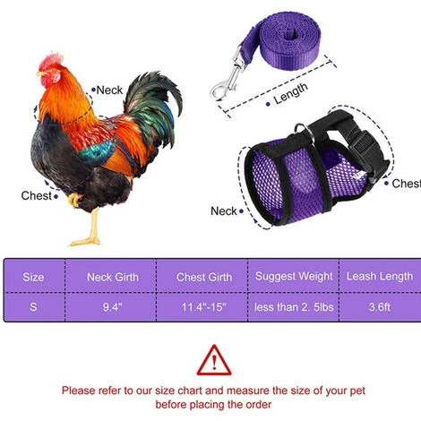 FR-LIFE Harnais Souple RéGlable Harnais De Poule 3 PièCes D'éLingue De Poulet Nouvelle Laisse Pour Animaux De Compagnie, RéGlable, Confortable, Respirante, Petite Laisse De Canard Avec Laisse Pour Animaux—BR-Vie 2 FR-LIFE Harnais Souple RéGlable Harnais De Poule 3 PièCes D'éLingue De Poulet Nouvelle Laisse Pour Animaux De Compagnie, RéGlable, Confortable, Respirante, Petite Laisse De Canard Avec Laisse Pour Animaux—BR-Vie – Image 2