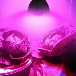 L'FLANEUR 18LEDs Lampe De Plante Intérieur Ampoule De Croissance Pour Végétation Hydroponique Ou En Serre 8W E27 ANEUR 9 L'FLANEUR 18LEDs Lampe De Plante Intérieur Ampoule De Croissance Pour Végétation Hydroponique Ou En Serre 8W E27 ANEUR -Polire Soldes Boutique 65353908 5