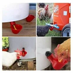 L'FLANEUR 15 Bols D'eau De Poulet Avec Noix, Abreuvoir De Volaille En Plastique équipement D'élevage Pour Buveur De Caille D'oiseau De Poulet ANEUR 6 L'FLANEUR 15 Bols D'eau De Poulet Avec Noix, Abreuvoir De Volaille En Plastique équipement D'élevage Pour Buveur De Caille D'oiseau De Poulet ANEUR -Polire Soldes Boutique 65355010 3