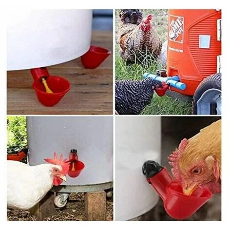 L'FLANEUR 15 Bols D'eau De Poulet Avec Noix, Abreuvoir De Volaille En Plastique équipement D'élevage Pour Buveur De Caille D'oiseau De Poulet ANEUR 3 L'FLANEUR 15 Bols D'eau De Poulet Avec Noix, Abreuvoir De Volaille En Plastique équipement D'élevage Pour Buveur De Caille D'oiseau De Poulet ANEUR – Image 3