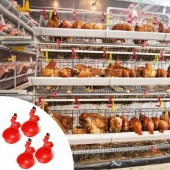 KAEJYIUT 4 Pcs,Abreuvoir Poules, Volaille Automatique Abreuvoir, Abreuvoirs Automatiques De Poulet, Outil D'Abreuvement Pour Volaille, Convient Aux Oiseaux Rouge 7 KAEJYIUT 4 Pcs,Abreuvoir Poules, Volaille Automatique Abreuvoir, Abreuvoirs Automatiques De Poulet, Outil D'Abreuvement Pour Volaille, Convient Aux Oiseaux Rouge -Polire Soldes Boutique 65391509 3