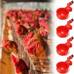 KAEJYIUT 4 Pcs,Abreuvoir Poules, Volaille Automatique Abreuvoir, Abreuvoirs Automatiques De Poulet, Outil D'Abreuvement Pour Volaille, Convient Aux Oiseaux Rouge 8 KAEJYIUT 4 Pcs,Abreuvoir Poules, Volaille Automatique Abreuvoir, Abreuvoirs Automatiques De Poulet, Outil D'Abreuvement Pour Volaille, Convient Aux Oiseaux Rouge -Polire Soldes Boutique 65391509 4
