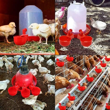 KAEJYIUT 4 Pcs,Abreuvoir Poules, Volaille Automatique Abreuvoir, Abreuvoirs Automatiques De Poulet, Outil D'Abreuvement Pour Volaille, Convient Aux Oiseaux Rouge 5 KAEJYIUT 4 Pcs,Abreuvoir Poules, Volaille Automatique Abreuvoir, Abreuvoirs Automatiques De Poulet, Outil D'Abreuvement Pour Volaille, Convient Aux Oiseaux Rouge – Image 5