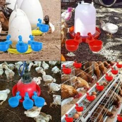 AOUGO 4 Pcs,Abreuvoir Poules,Abreuvoirs Automatiques De Poulet,Volaille Automatique Abreuvoir,Abreuvoir En Plastique Bleu,Outil D'Abreuvement Pour Volaille,Convient Aux Poulets,Canards,Volailles, Oiseaux -Polire Soldes Boutique 65393000 4