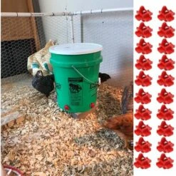 LONVRèE 18 Pcs,Abreuvoir Automatique Poule,TéTine à Eau De Volaille,Abreuvoir Poules ,Nouvelle Fontaine Boire Pour Poulet, Volaille Rouge,Adapté Aux Poules, Canards, Volailles (#1) -Polire Soldes Boutique 65642565 4