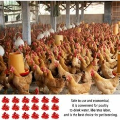 LONVRèE 18 Pcs,Abreuvoir Automatique Poule,TéTine à Eau De Volaille,Abreuvoir Poules ,Nouvelle Fontaine Boire Pour Poulet, Volaille Rouge,Adapté Aux Poules, Canards, Volailles (#1) -Polire Soldes Boutique 65642565 5