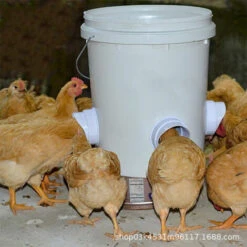 DONTODENT DIY Mangeoire Poules, 4 Anti Nuisible Mangeoire Poules Ports, Automatique Volailles Poules Mangeoire Pour Seaux, Fûts, Bacs Et Auges -Polire Soldes Boutique 65869171 3