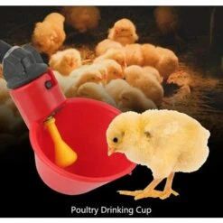 BENOBBY KIDS Abreuvoir à Volaille, 8 Pièces Gobelets Automatiques Pour Poulet, Mangeoire à Pigeon, Convient Aux Poulaillers, Canards, Dindes, Poules, Coqs, Fournitures Pour Animaux De Ferme -Polire Soldes Boutique 65905169 4