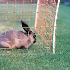 GALLAGHER Filet Cloture Electrique Lapin - Gallangher - 50m X 65cm