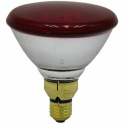 Ampoule Chauffante - Infrarouge - 175 W - Universel