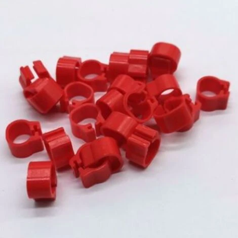 Lot De 100 Anneaux Pour Oiseaux, Poule, Pigeon, Volaille, Colombe, Canard, Perroquet -Adélala 1 Lot De 100 Anneaux Pour Oiseaux, Poule, Pigeon, Volaille, Colombe, Canard, Perroquet -Adélala