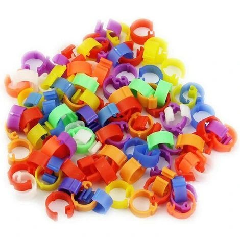 Lot De 100 Anneaux Pour Oiseaux, Poule, Pigeon, Volaille, Colombe, Canard, Perroquet -Adélala 2 Lot De 100 Anneaux Pour Oiseaux, Poule, Pigeon, Volaille, Colombe, Canard, Perroquet -Adélala – Image 2