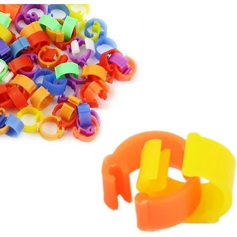 Lot De 100 Anneaux Pour Oiseaux, Poule, Pigeon, Volaille, Colombe, Canard, Perroquet -Adélala 5 Lot De 100 Anneaux Pour Oiseaux, Poule, Pigeon, Volaille, Colombe, Canard, Perroquet -Adélala – Image 5