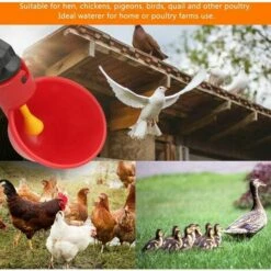 OUSUDELA 10 PCS Abreuvoir Poules Abreuvoir à Poulet En Plastique Automatique Abreuvoir à Volaille Kit Distributeur D'eau Potable Bols Systèmes D'alimentation En Eau Pour Cailles D'oiseaux Pigeon Poulet -Polire Soldes Boutique 66409561 3