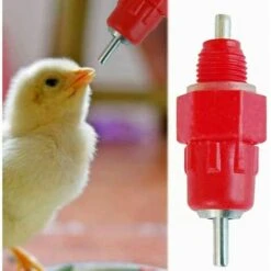 PREMIER 20 Pcs Eau Tetine Poulet Alimentateur Fournitures De Volaille Poule Vis Dans Le Style -Polire Soldes Boutique 66799769 4
