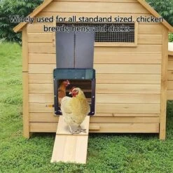 DONTODENT 2022new Porte De Poulailler Automatique Porte De Poulailler à Détection De Lumière Pleine Porte De Poulailler Porte De Poulailler Multi-modes Porte De Poulet Automatique 7 DONTODENT 2022new Porte De Poulailler Automatique Porte De Poulailler à Détection De Lumière Pleine Porte De Poulailler Porte De Poulailler Multi-modes Porte De Poulet Automatique -Polire Soldes Boutique 67375537 3