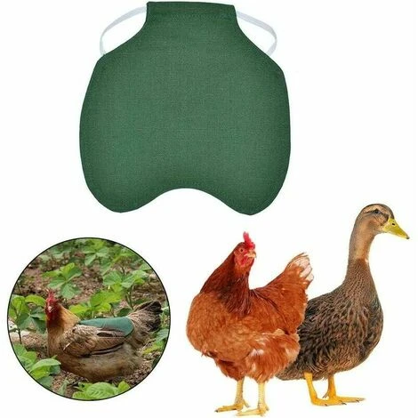 TANèTUE Tablier De Poulet À Sangle Unique/Gilet De Selle Protection De L'aile De Canard De Poule Vestes 5pcs-vert 1 TANèTUE Tablier De Poulet À Sangle Unique/Gilet De Selle Protection De L'aile De Canard De Poule Vestes 5pcs-vert