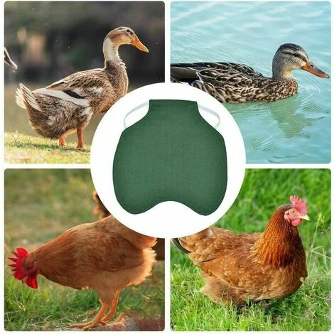 TANèTUE Tablier De Poulet À Sangle Unique/Gilet De Selle Protection De L'aile De Canard De Poule Vestes 5pcs-vert 2 TANèTUE Tablier De Poulet À Sangle Unique/Gilet De Selle Protection De L'aile De Canard De Poule Vestes 5pcs-vert – Image 2