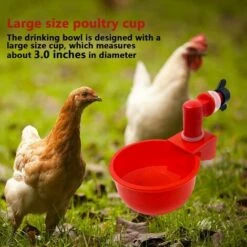 QERSTA 6pcs Automatiques Supplies Abreuvoir Poules Tasses à Bol Bol En Plastique, Volailles Distributeurs D'eau Automatique De L'eau Potable Tasses Pour Poussins Cailles Canards Bird -Polire Soldes Boutique 67646874 4