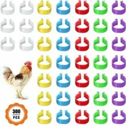 MONLY 300 Anneaux De Pied De Volaille, Petits Anneaux De Serrage De Volaille, Bandes De Volaille Pour Marquer Les Oiseaux, Perroquets, Pigeons, Cailles, Poussins (Jaune/bleu/blanc/violet/rouge/vert)，Fonepro