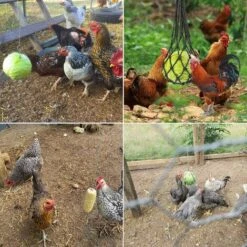 OYLDA Sac à Légumes, Fruits Et Gâteries Pour Poules, 2 Pièces, Noir 8 OYLDA Sac à Légumes, Fruits Et Gâteries Pour Poules, 2 Pièces, Noir -Polire Soldes Boutique 68139693 4