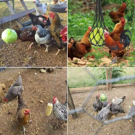 OYLDA Sac à Légumes, Fruits Et Gâteries Pour Poules, 2 Pièces, Noir 4 OYLDA Sac à Légumes, Fruits Et Gâteries Pour Poules, 2 Pièces, Noir – Image 4