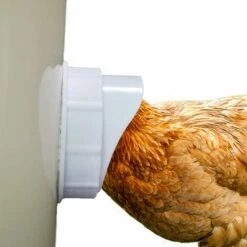 OYLDA Kit D'alimentation Par Gravité Pour Poulets, Résistant à La Pluie Et Au Vent -Polire Soldes Boutique 68140079 4