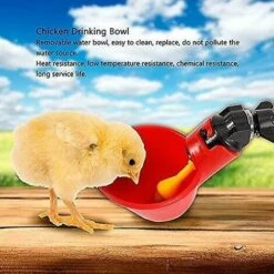 ZHUOXUAN Abreuvoir De Volaille 5 Pièces, Abreuvoir De Poulet, Abreuvoir De Poulet Automatique 7 ZHUOXUAN Abreuvoir De Volaille 5 Pièces, Abreuvoir De Poulet, Abreuvoir De Poulet Automatique -Polire Soldes Boutique 68274935 3