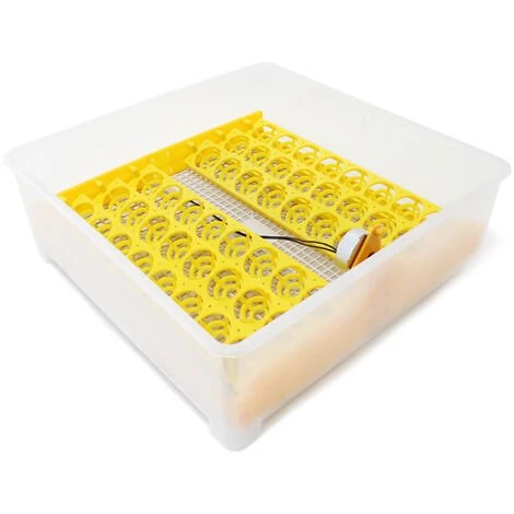 WILTEC Couveuse Automatique 48 Oeufs Appareil à Couver Incubateur 4 Fenêtres De Surveillance 5 WILTEC Couveuse Automatique 48 Oeufs Appareil à Couver Incubateur 4 Fenêtres De Surveillance – Image 5