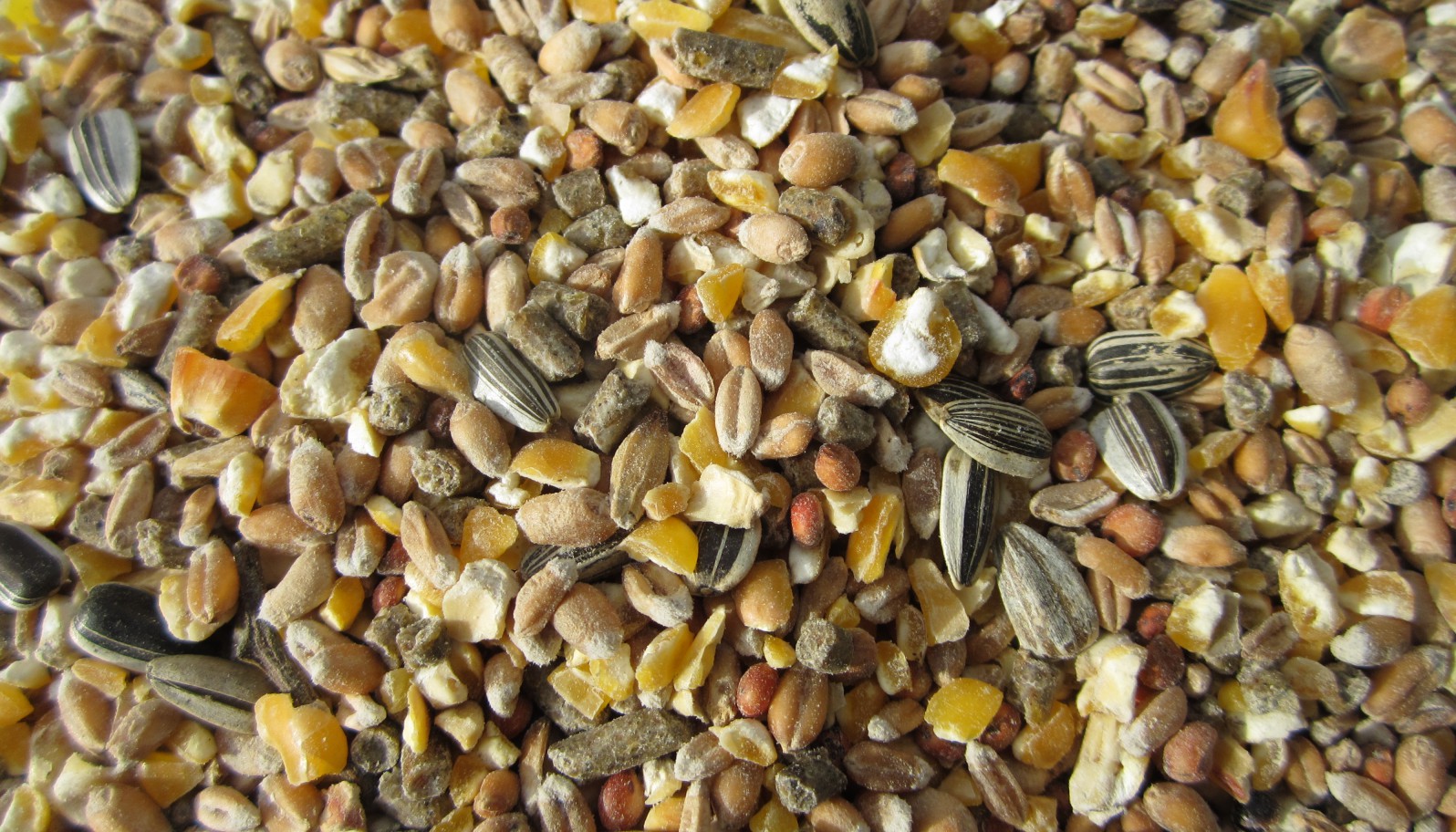 Polire Soldes Boutique -Polire Soldes Boutique MEL II